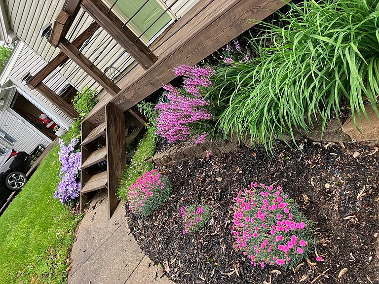 Alpine Ct — Photo 4