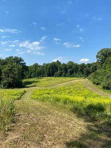 Rumsey Rd, Three Rivers, MI, 49093