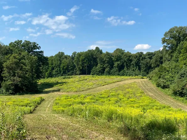 Rumsey Rd, Three Rivers, MI 49093