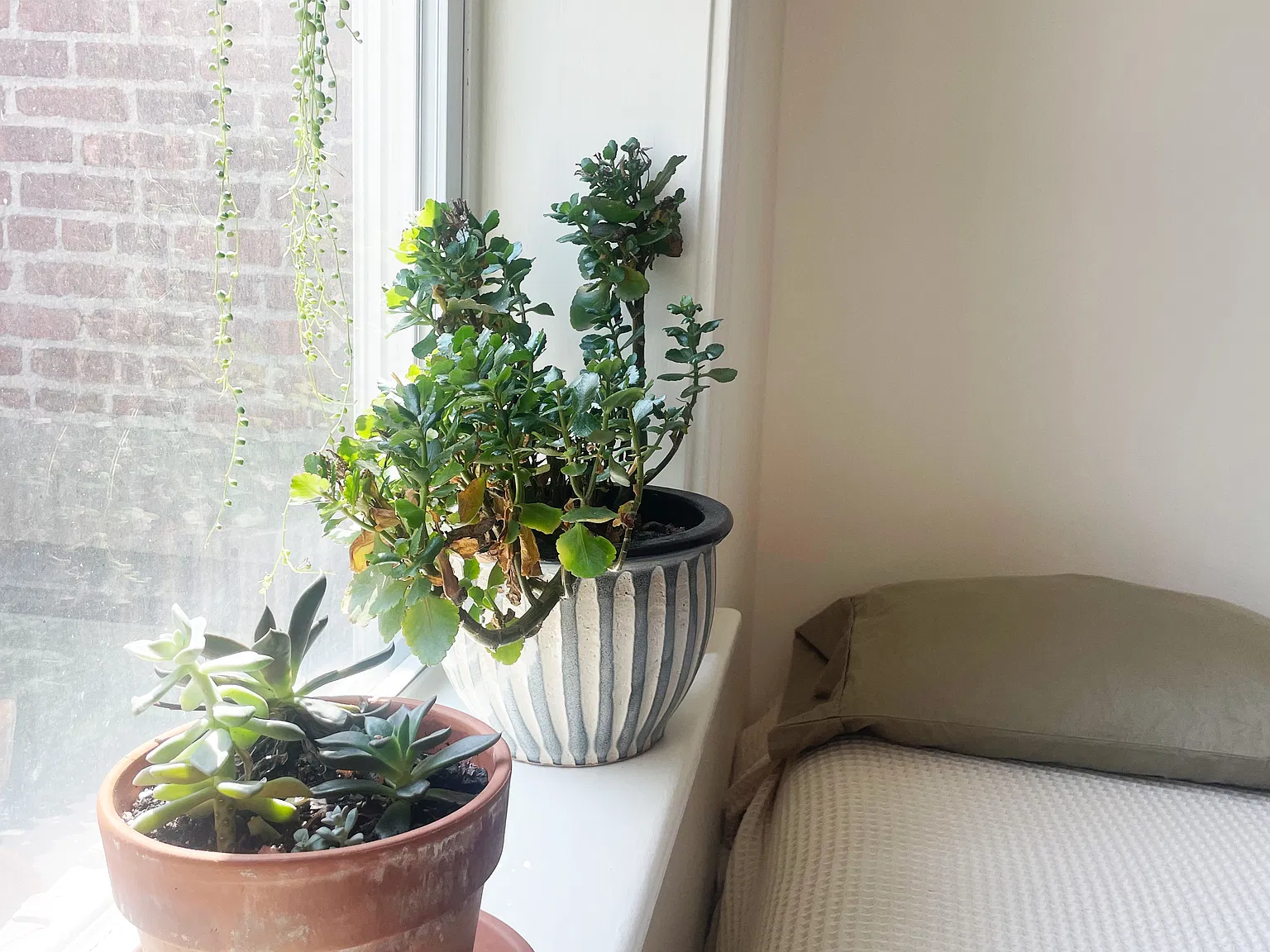 Studio, 407 sqft, $1,875 — Photo 3