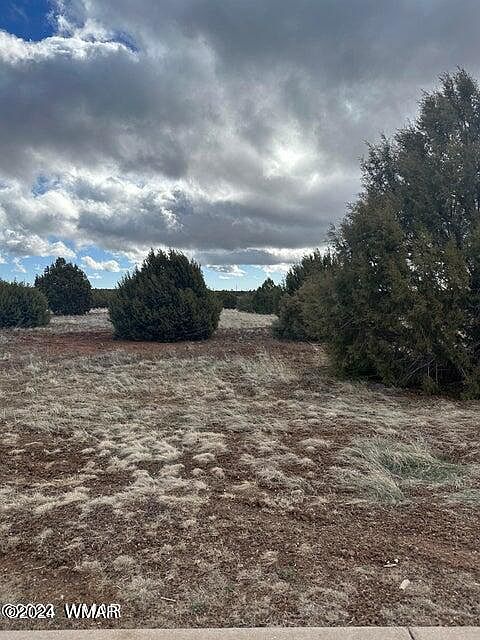 2nd image of 1121 S Ridgeline Dr