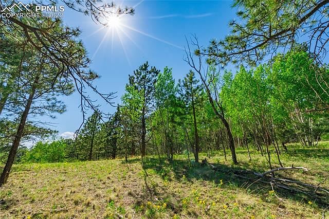 1st image of 57 Beaver Lake Cir