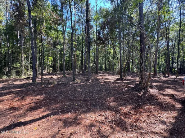 Wa Walker Rd, McComb, MS 39648
