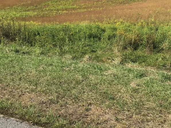 LOT 28 Chestnutwood Dr, Chilhowie, VA 24319