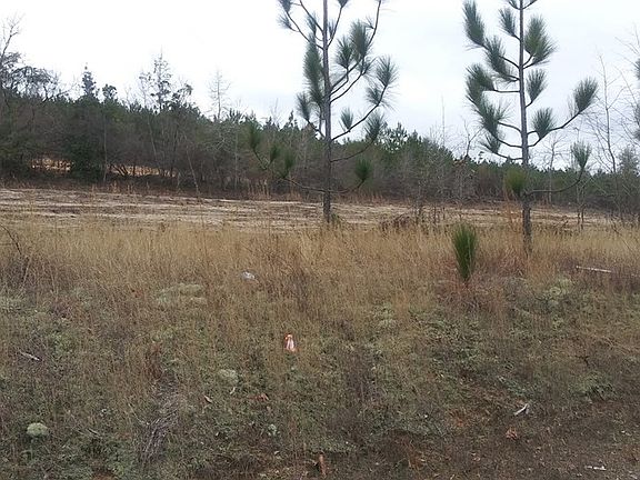 5th image of Hwy 278 Williston Road