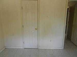 5th image of 3503 Dalmatian Dr