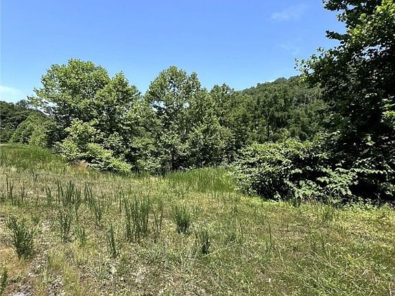 4th image of 4 Mile Crk