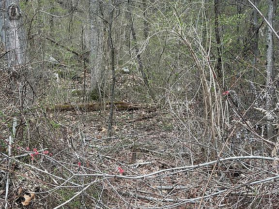 2nd image of Wells Road