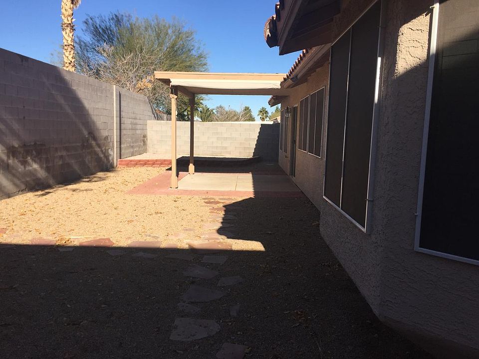 Back yard