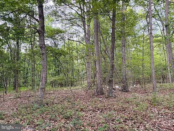 2nd image of 21908 White Oak Rd