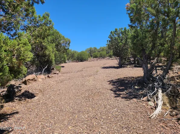 342 County Road 8976, Concho, AZ 85924