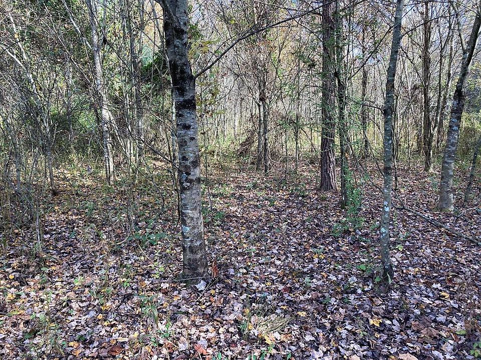 1st image of Tr 1 Liberty Lane