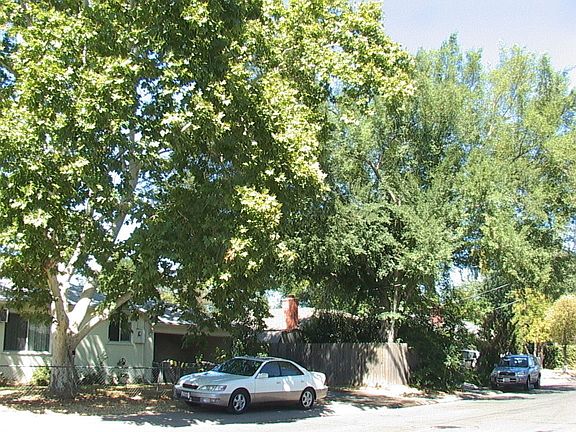 4th image of 3702 Pinell St