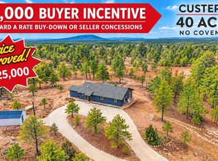 11405 Hawkright Rd, Custer, SD 57730