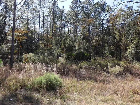 SW 131st Cir Lot 11, Ocala, FL 34481