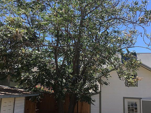 4th image of 908 E Elk Ave