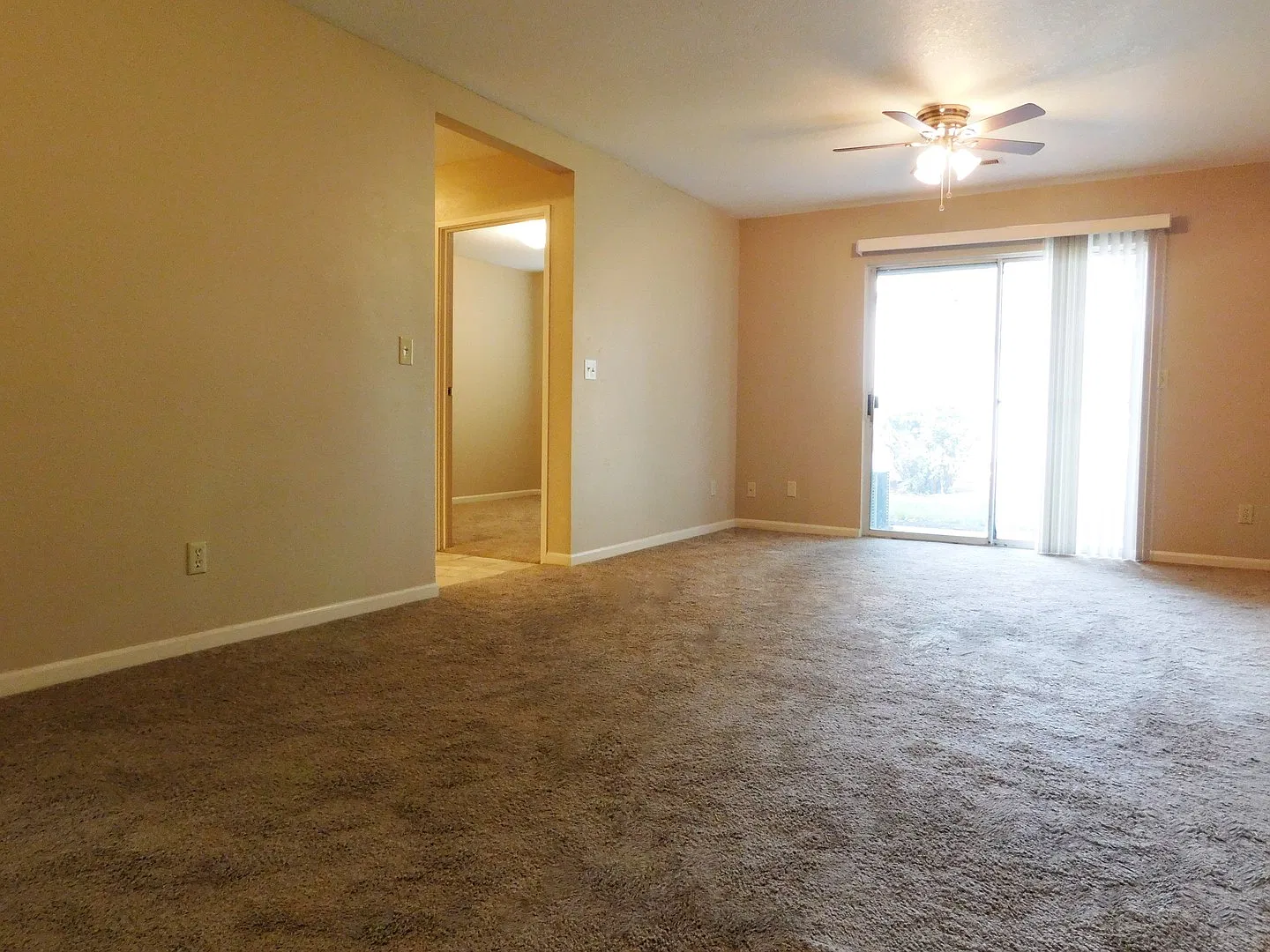 Campus Corner Apartments — Photo 3