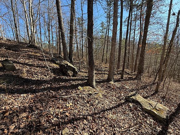 3rd image of TRACT 2 S Pittsburg Mountain Rd