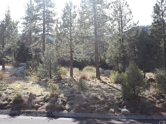 4th image of 1709 Freeman Dr