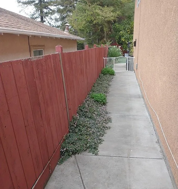 View of dedicated side yard.