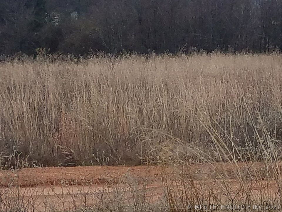 2nd image of Folsom Rd