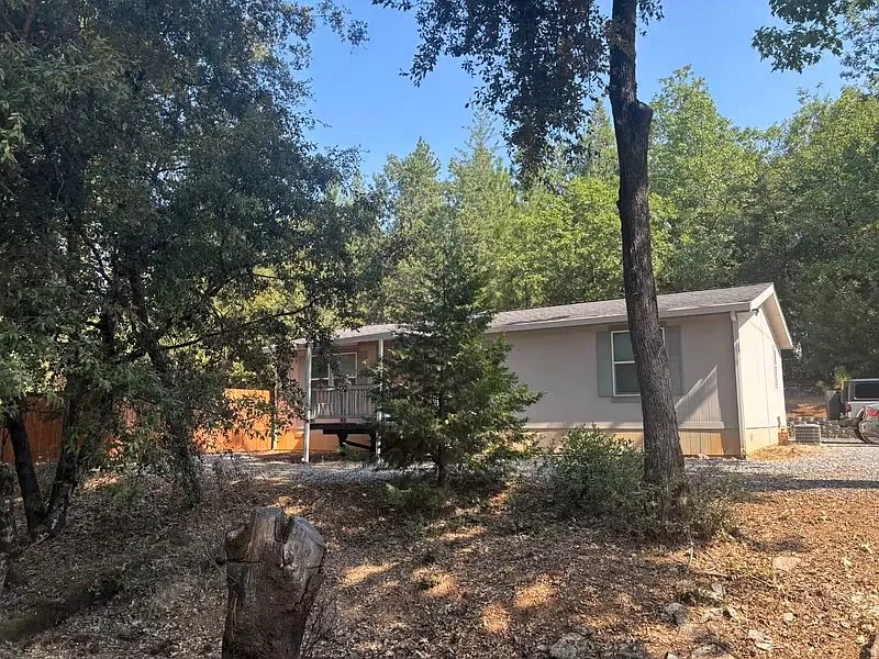 4729 Scotch Pine Ln — Photo 1
