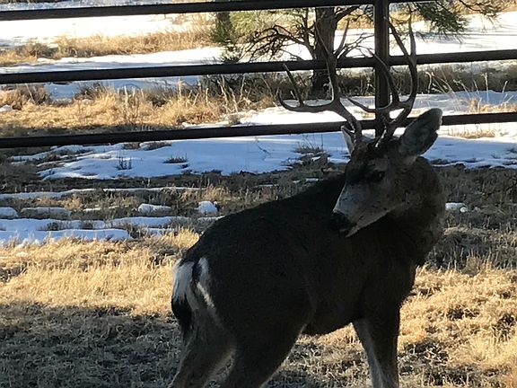 It’s worth the BUCKS!!!!