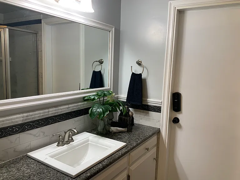 Primary Bathroom #1