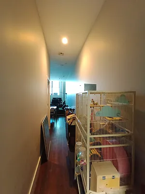 Rented by City Vista Inc | media 20