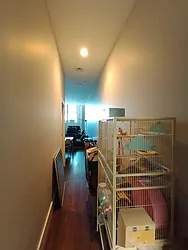 Rented by City Vista Inc