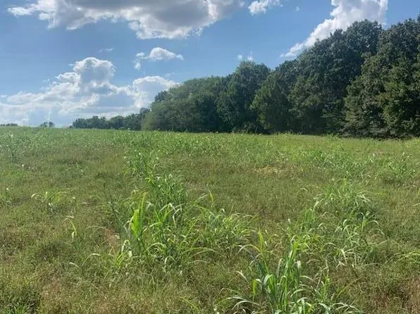 Tbd Farm Road 1012, Pierce City, MO 65723