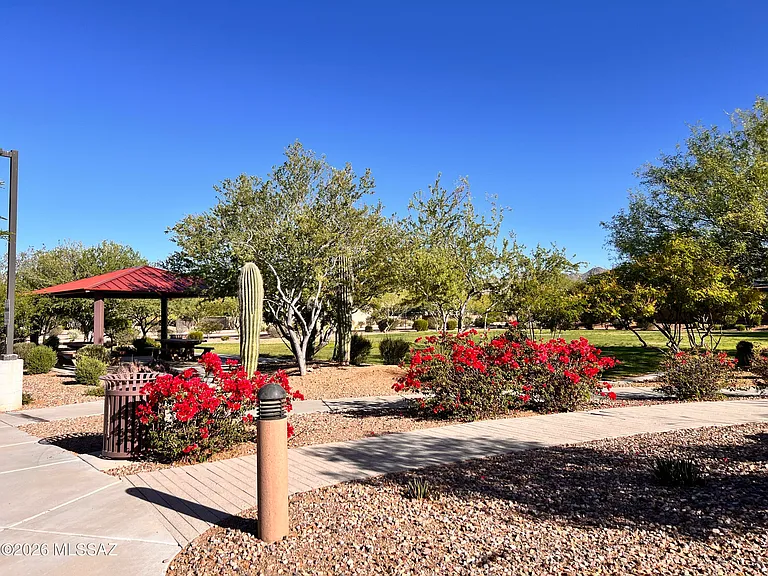 13289 N Rainbow Cactus Ct — Photo 47