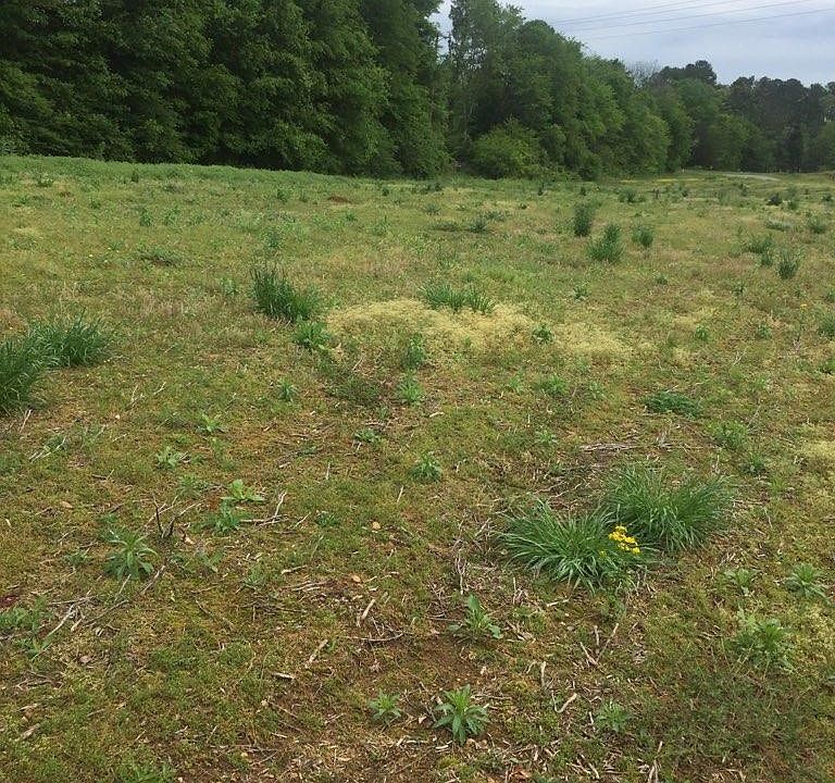 2nd image of Dentville Rd