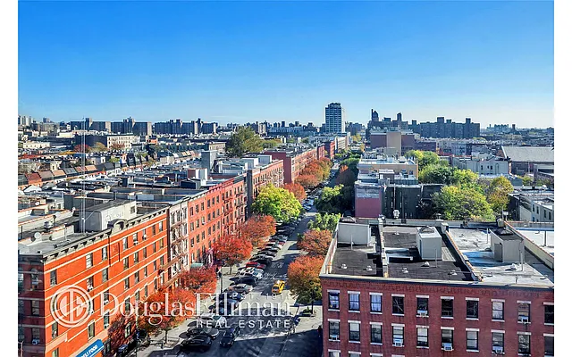 Rented by Douglas Elliman | media 2