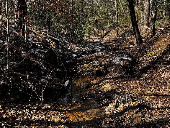 2nd image of 0 Painters Gap Rd