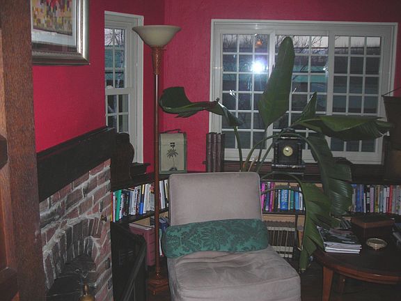 library w fireplace