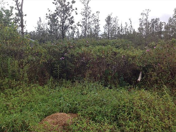 2nd image of Sandalwood Dr Lot 84