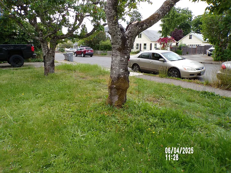 315 SE Lilly Ave — Photo 8