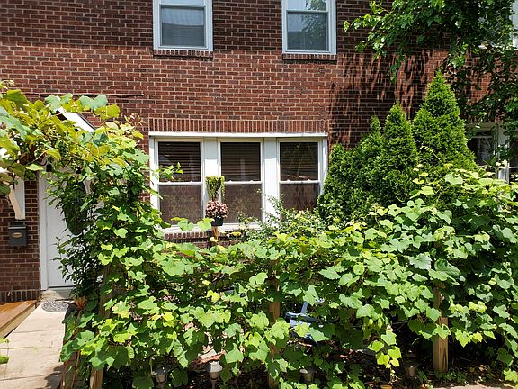 The fence is surranded by grape vine