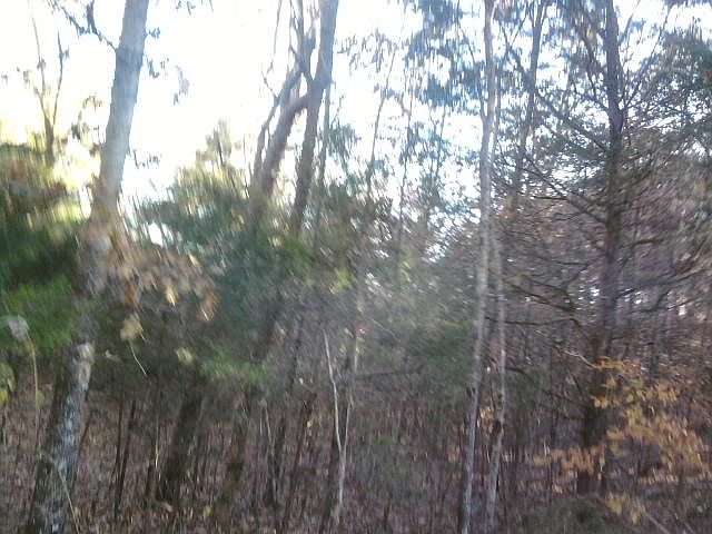 2nd image of Sawmill Rd