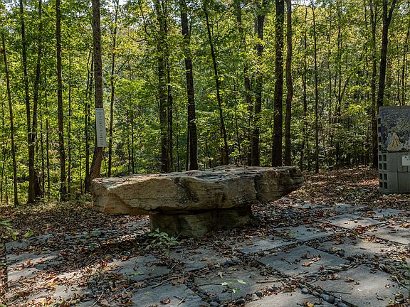 2nd image of 0 Bud Davis Rd