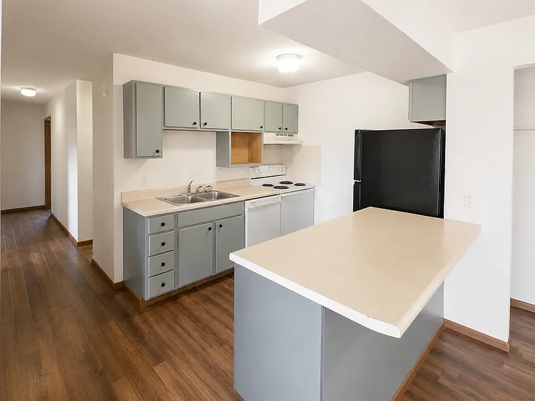 1011 5th Ave S #305 — Photo 4