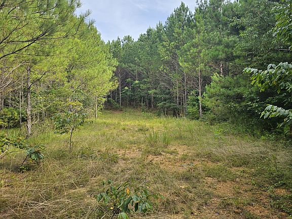 Road in center of property.
