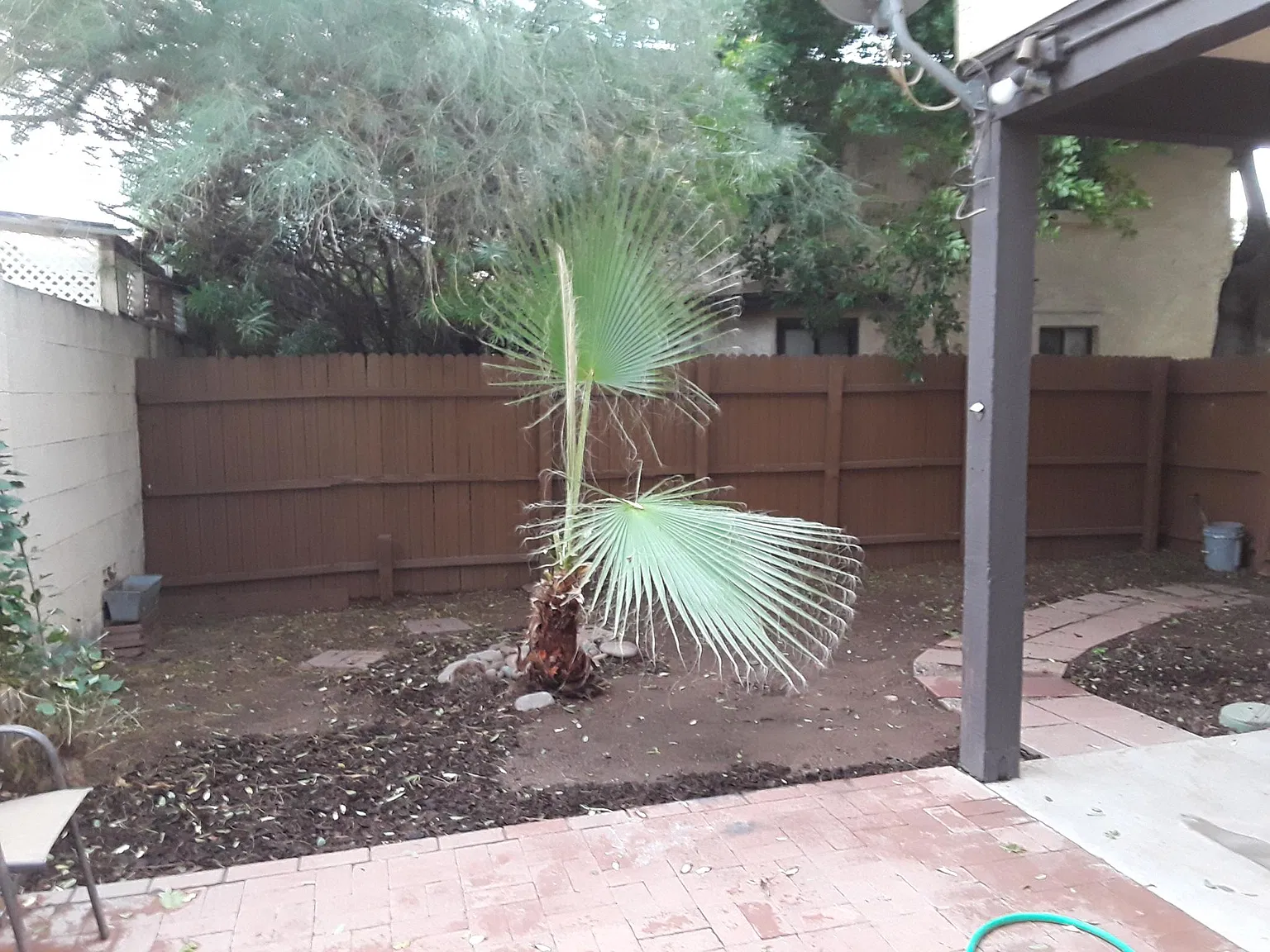 2 bed, 1.5 bath, 958 sqft, $1,700 — Photo 3
