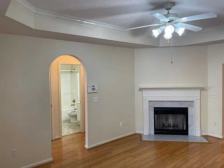 314 Coales Branch Cir — Photo 3