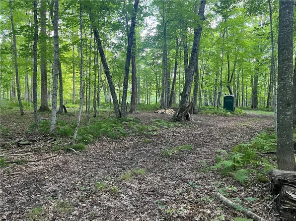Lot 20 Loch Lomond, Birchwood, WI 54817