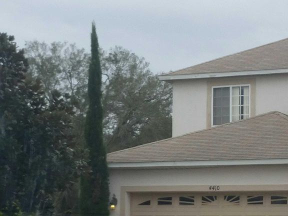 2nd image of 4410 Evergreen Forest Loop