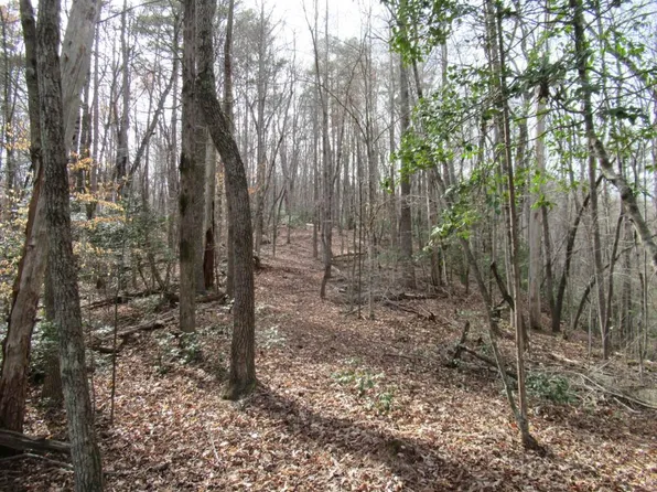 0 Long Branch Rd #4, Dahlonega, GA 30533