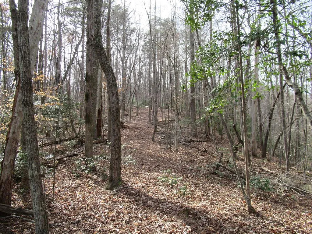 0 Long Branch Rd #4 photo 1