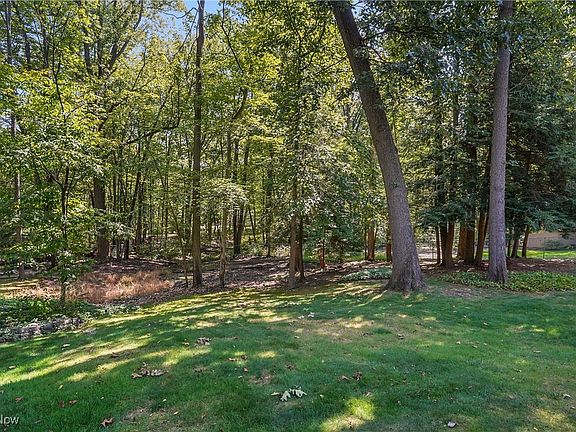 3rd image of 532 Alandale Dr